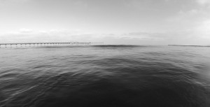Surfing and Coconut Oil