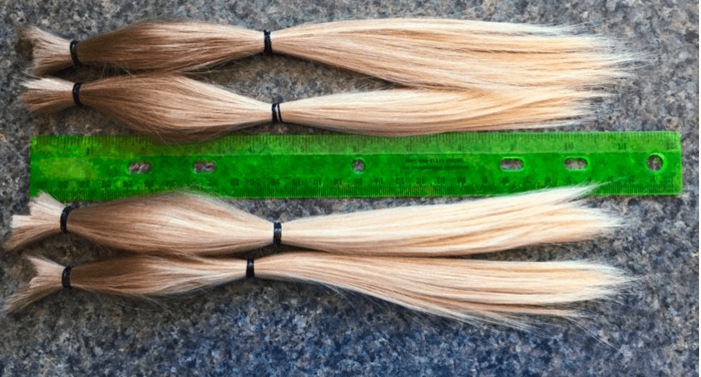 The Longhairs Portraits