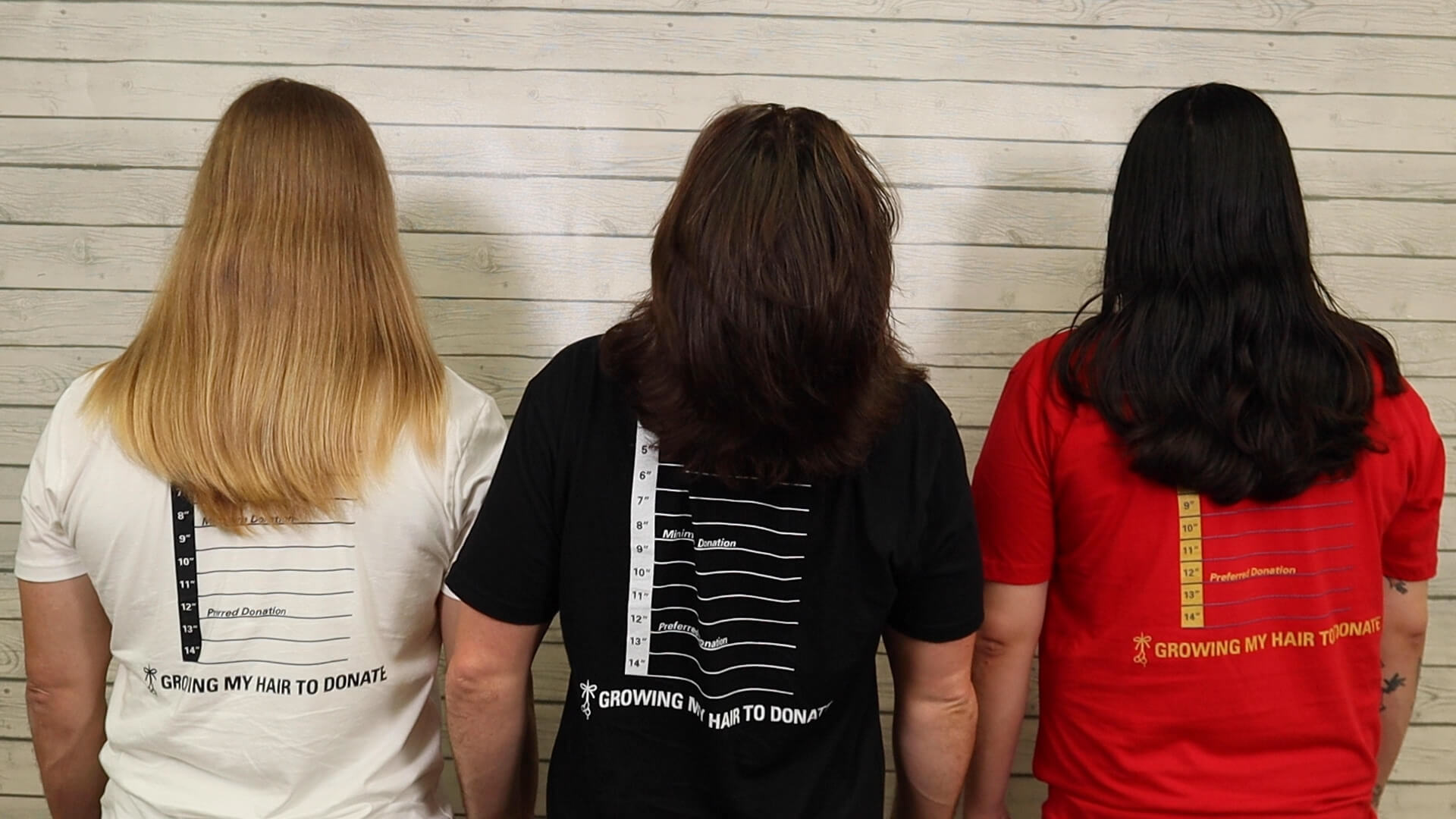 The Great Cut 2024 Hair Length Measurement