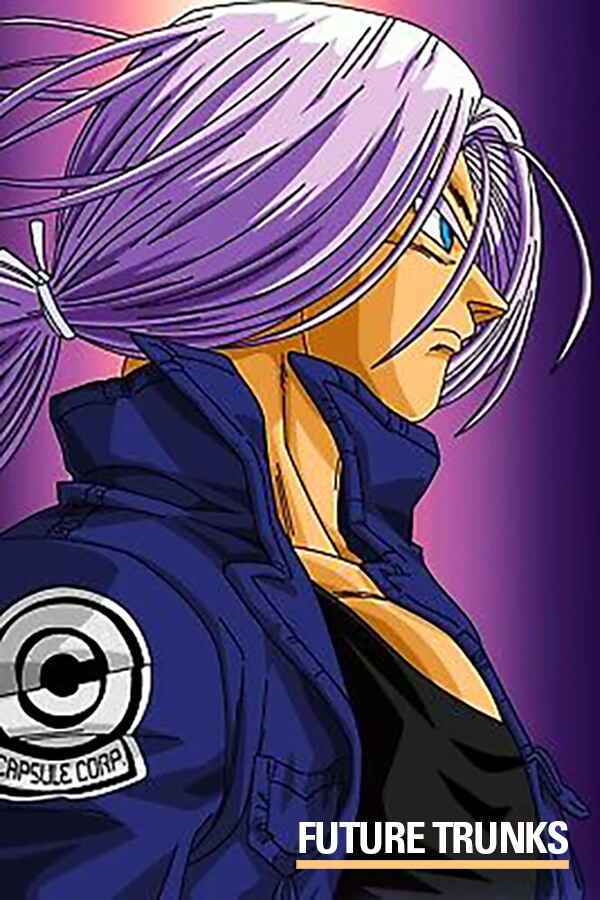 Trunks looking off in the distance while his purple hair is tied in a ponytail as the prized long hair in anime for Dragon Ball Z.
