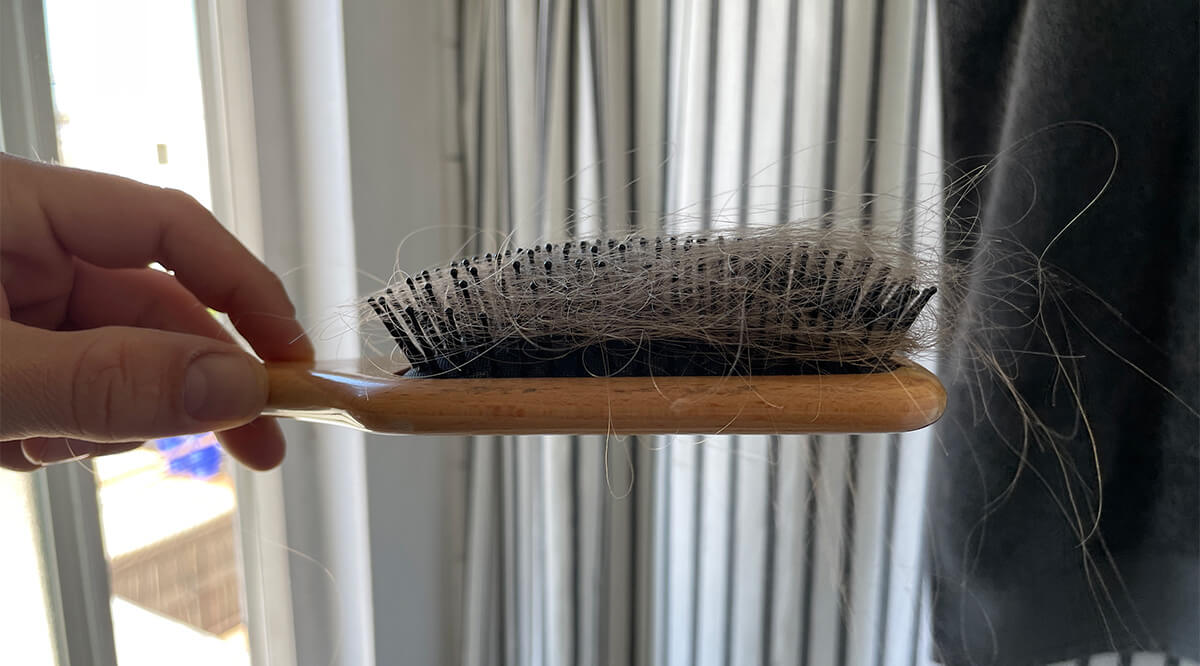 How To Clean Your Hair Brush (It’s Filthy!)