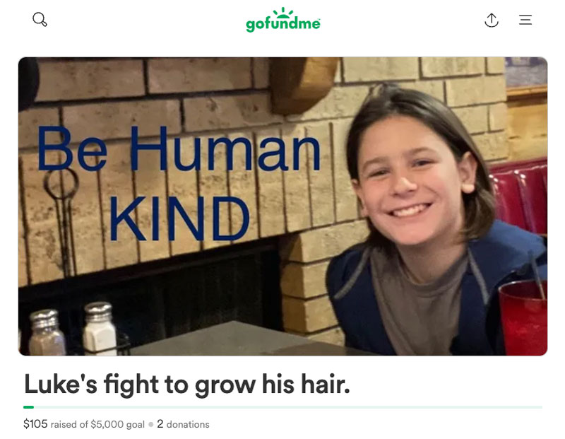 Luka's gofundme page