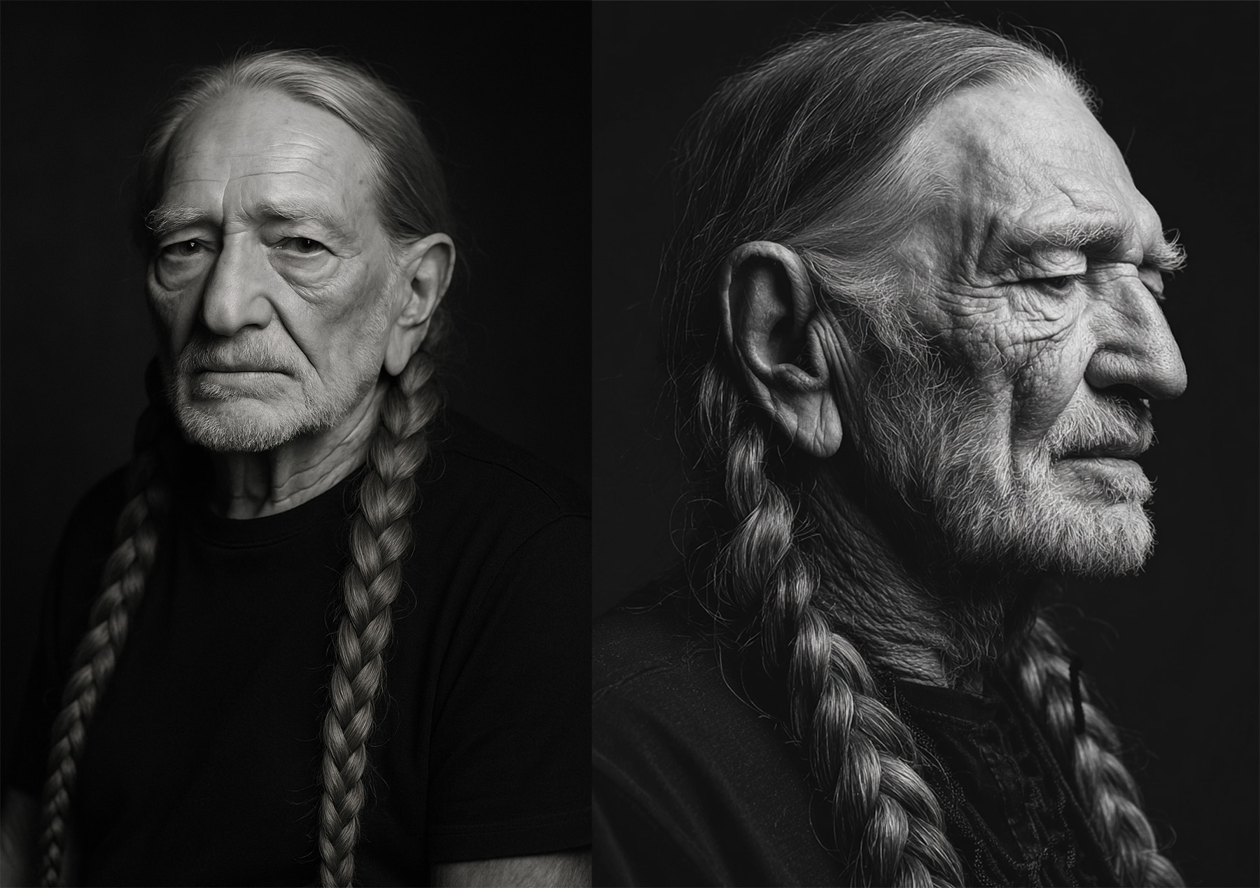 Willie Nelson Braids